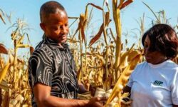 ab5db386f6fe74a2e892ab61518ecc38d480a6c25e302f58bc1b74adfc25fa42