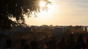 ad04a9cd297e9db4ff8d88e6c0db202eee9d74f3fbdb1059efc449905791eea1