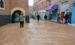 afb1c95ab327367ad6ced8c06ba22652075e524e56df601a0f653afe245c3b1d