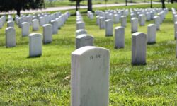 arlington 705755 640