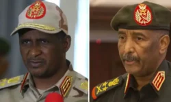 cdbf4a6d 15a3 40b6 8c69 027e5b157ea4.jpg