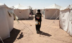 d025b52a01a8b446d77963a28a421bdd8fa70dee045073345a39579d197bfc46