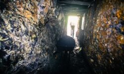 d13516d25559abe2626e0add90e2e0eb9cefce69dba4310bd8c6236b364bfcaa