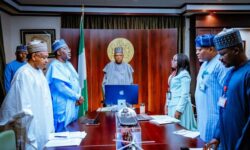 da48f5d318721abeb8073617a36f0f98e956e5fd0d396927fb294a03ffe6c76b