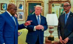 df477707b2069cdb00b5b7d9f2b50cecd6cdd52d8e7e4b5ef5e0314ea3a63342