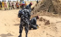 e459af30 e271 11f0 a4f0 f9cf84d7fed7.jpg