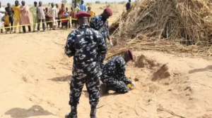 e459af30 e271 11f0 a4f0 f9cf84d7fed7.jpg