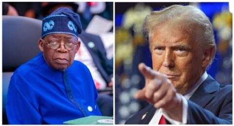 e6916a635c8fa9789acc8b041d08a8d4efd01bd2ba80bd3fc53450e671c7be03 e1766426182403