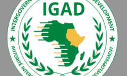 f4a925b2869f4e9e4786fd3532f250ef5ed33cdacb01e1148b49f1eeda8483d5