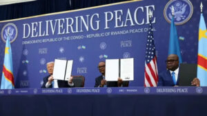 ffa362028e2595e7dce18dcdca0c6a29fa5ea39e4b885d98afe5aa849eef670e