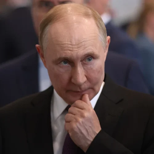 licensed image e1766767265730