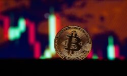 thumbs b c 40640055d85be02bde60509d525b03d1