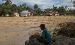 thumbs b c c772302386e276025bca7735e2349c6e