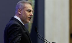 thumbs b c fcb9d9c05c0c1e66970b9b33794b803a