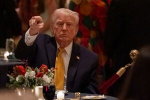trump 15105