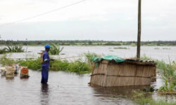 095125bef201b9dbc2809d7d7a945adc7b2d842a64d0f7e5bdfb9bcdc255e3b3 main