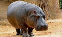 0a9089232dd985d3dbf7361063471250e31997c210795dd6814c4c566a12ca10