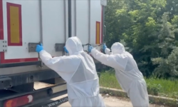 164c6bac6fc2630299c0b135398bf6f88a8b0704c01295fedaceaaa85e45aabe