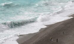 1768543531467 rdp38p 6313597c5634a0b95a997b748b9933a29148691aa5ac3ec130ae9392afa12a97