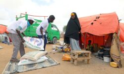 1769676953515 edjkd e6fccb88efe53a7f5559a63964fcfb9257aef32dfa44bb419ee8b4a6d1e7965f