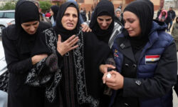 265dd33d707153a135989ecd4c4fed6155fbd764760a3df02ac3ab3c9e4fdc77 main