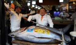 30b267629d1ec45ed28fbea2b07b32224397786cb7fd3b4bee8503ad517402f1