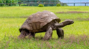 3ae239375065772c1140ff95dd0e11817cdffc09104f49aa167397aead53c266 1