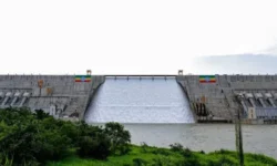 4b63f026faf168f2051aacdda5e59ef97156a0e0595539dd6210ef345d2519a2