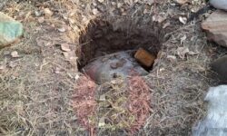 4beeea36b46e1c3c12a8061eecb8f74ca9baf30f0cef9a53c988f34d0884c4b7