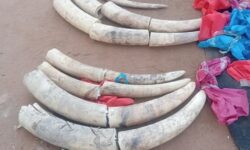 8af4ff07f0cd0727bfa710979aabfd407e9a6f8f3d5a9c72ddb3cd651cc57d7a