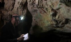 8e16a3a53235bd05738e285ebc96dca27de3ef546440032f99a611994b502f88