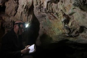 8e16a3a53235bd05738e285ebc96dca27de3ef546440032f99a611994b502f88