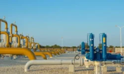 937de74ca40d32d73f0792d5f18b2c496849967cefc07a1ed46f9d12c4b97ebf