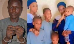 GridArt 20260118 113002553 scaled 1 603x400 1