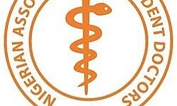 WhatsApp Image 2026 01 04 at 3.43.51 PM