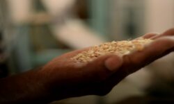 WhatsApp Image 2026 01 15 at 00.46.03 754x424 1