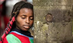 ae4c59c22b2c71ba7618cd3f5e7ec4cf9af4ac4745dc69d0a33ef62a350566e2