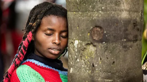 ae4c59c22b2c71ba7618cd3f5e7ec4cf9af4ac4745dc69d0a33ef62a350566e2