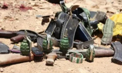 ee1eabbf33d6931daf732d577e16c7e91940eede6f4af0c2d26e154e5eb686ff main