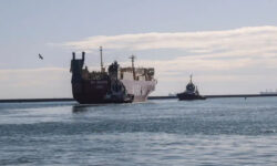 fc816eb382630351fecb41810cf50a4758b9694af7151de742f0bf8375c44656 main 1