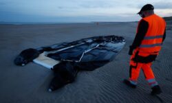 migration france 38688