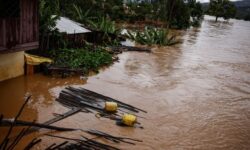 1770056158194 mg6do af4553ae13229ad7a5a563caad91c7ea3f6b2553c5435df409c5c7e8a8a64be5