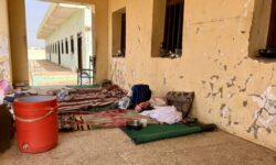 1770303799332 p152xq 2e341ac8d4aff230588a63fedcf82d51219071fe2dd7e27ddff4ae1d0c5ee515