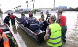 1771249948863 i6km7 118a9e636d5c76e625bbc7c72ce2ed888bce0f1f545118bc41842a297e168257