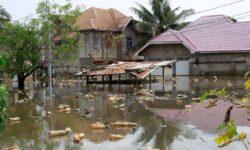 1771832646616 4inl1q 64242758f82b44b1c12bdc2b28e4682d5fb6da126732a0c845a52d8914dc68eb