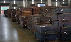 2025 04 30t102012z 1 lynxmpel3t0hd rtroptp 3 safrica economy