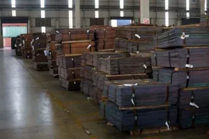 2025 04 30t102012z 1 lynxmpel3t0hd rtroptp 3 safrica economy