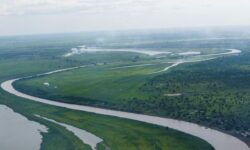 2025 06 13t033020z 1131419053 rc2zyeamvujl rtrmadp 3 southsudan aid fogbow