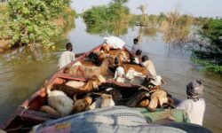 2025 10 01t214749z 1529978817 rc223hajdeqx rtrmadp 3 sudan floods
