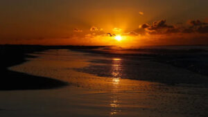 2025 10 02t162533z 1350956997 rc2o3haxqrq7 rtrmadp 3 usa dailylife main